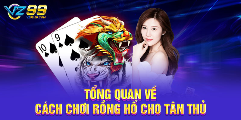 Tổng quan về cách chơi Rồng Hổ cho tân thủ Tổng quan về cách chơi Rồng Hổ cho tân thủ